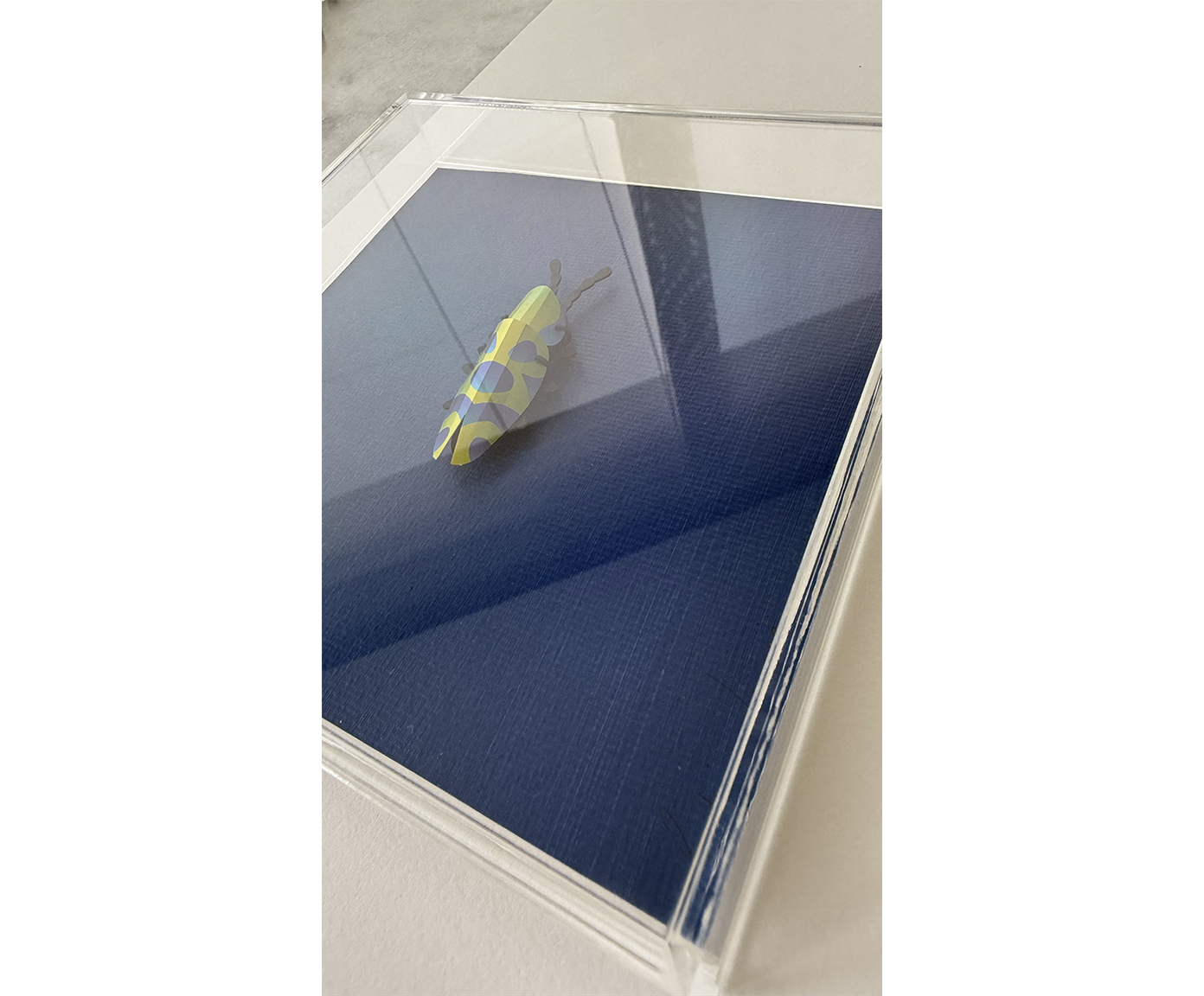 Quadro Besouro Azul Marinho 3D - 20x20 cm - image 1